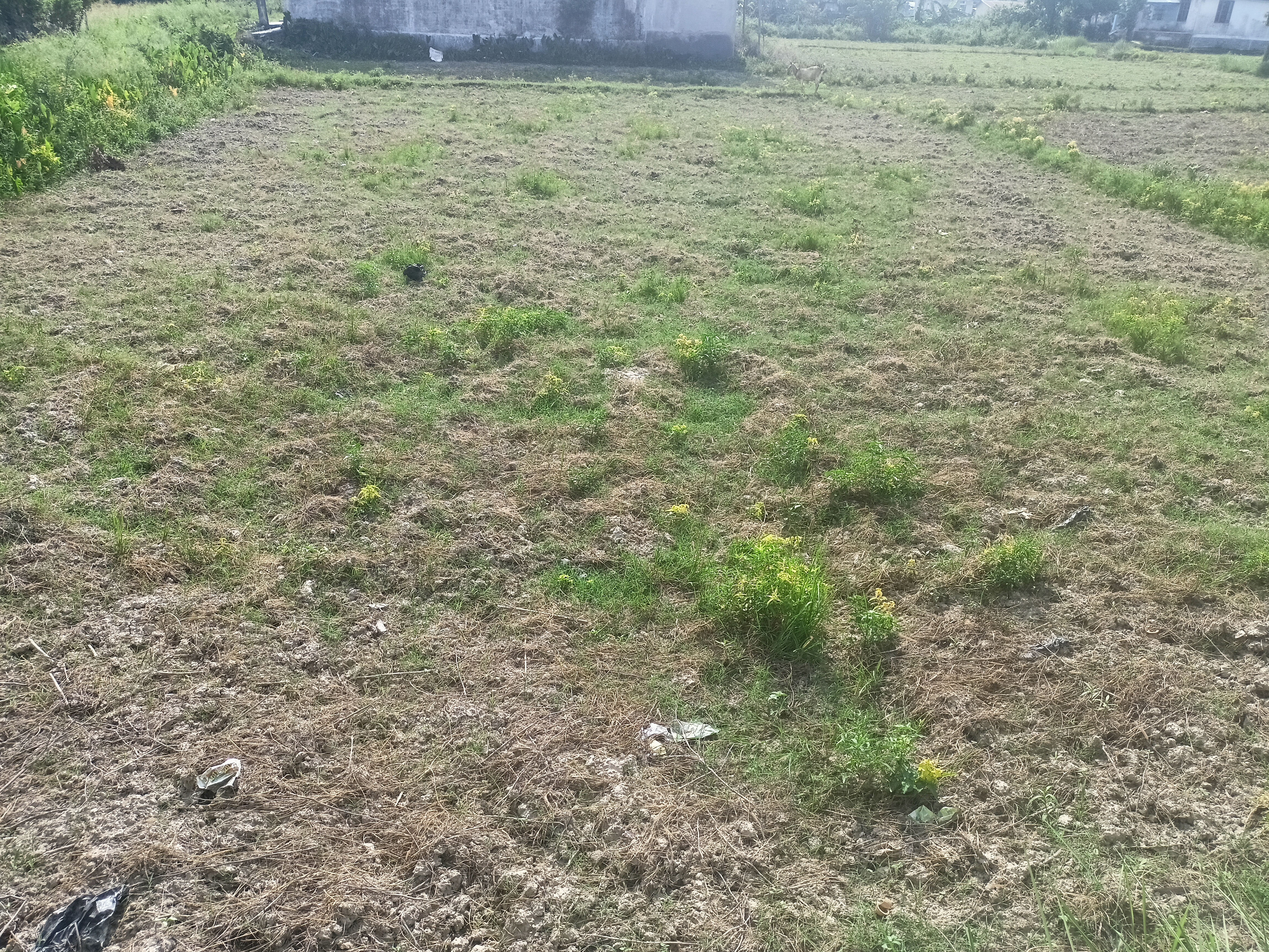 IMG20250713153225